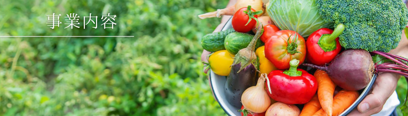 事業内容